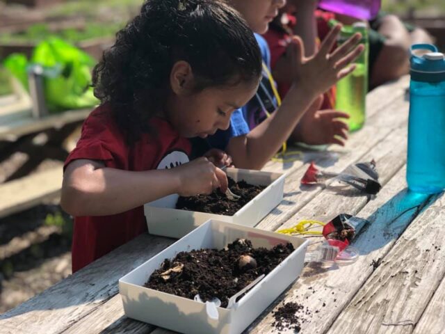 Members of the Cultivating Kids Garden Program learning a lesson about all the critters who live in soil.