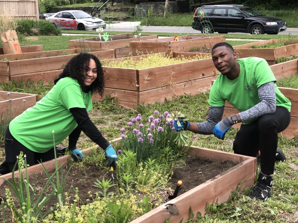 Join our Community Garden at 3118 North 24th Street. You can learn to grow your own food and connect to your community by adopting a plot at our 25 bed garden in North Omaha.

Email us at globalleadershipgroupomaha@gmail.com to signup for the 2023 season.